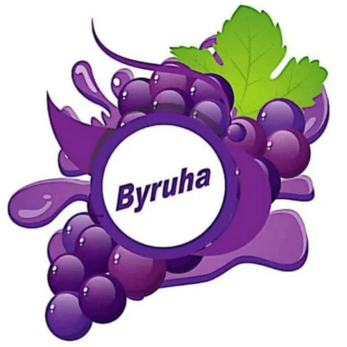 Byruha Logo